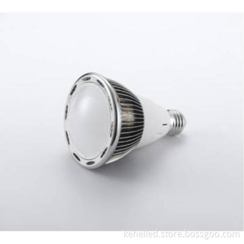 E27 LED PAR30 Light, LED Spotlight